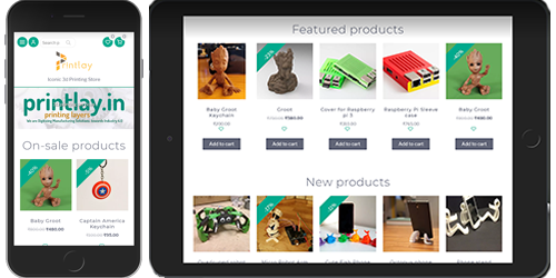 Ecommerce Application Development